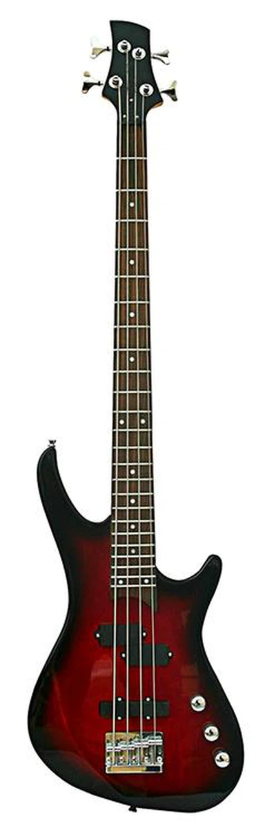 Bas gitara