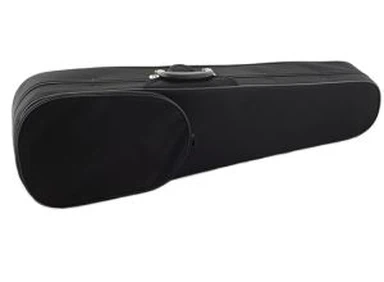 Case Violin