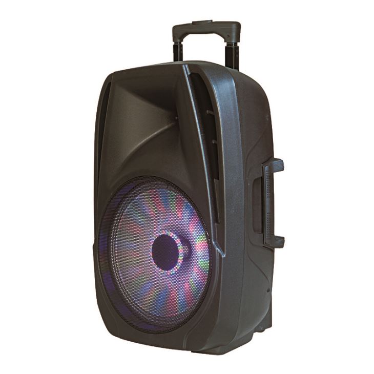 Professional Speakers Indoor Or Outdoor Sound System